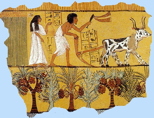 https://images.twinkl.co.uk/tr/raw/upload/u/ux/egyptian-farming-1_ver_1.jpg