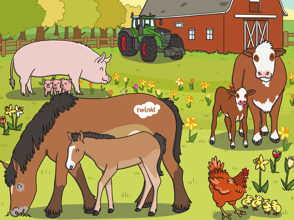 What Are Farm Animals? - For Kids - Twinkl