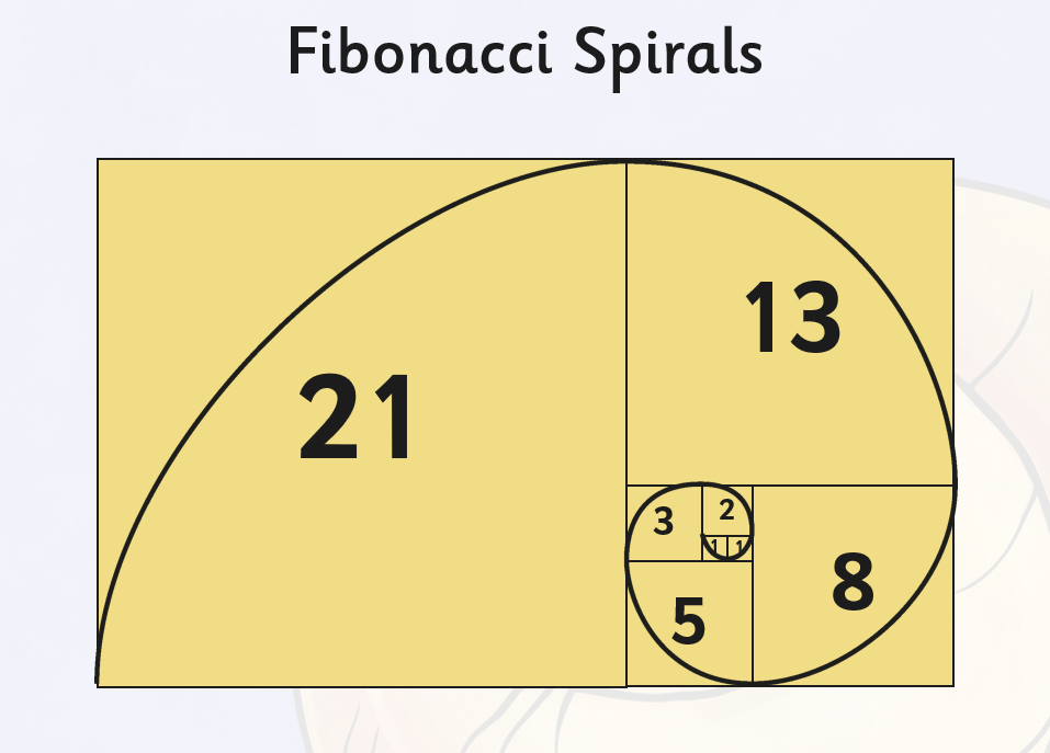 What is the Fibonacci sequence? - Answered - Twinkl teaching Wiki