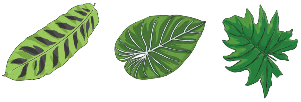What Is A Leaf Pattern