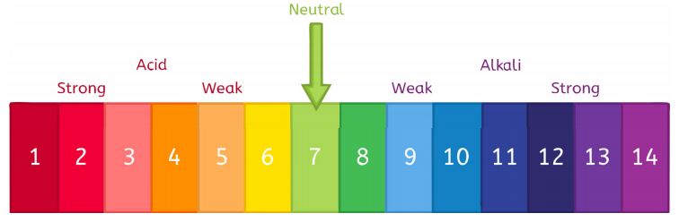 neutralization reaction diagram