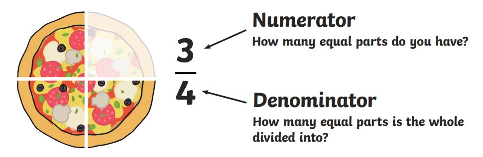 What a Denominator? | Find The Denominator