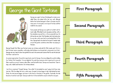 teaching paragraph structure