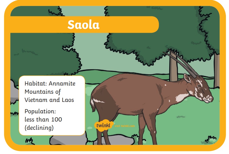 What is the rarest animal in the world? Teaching Wiki