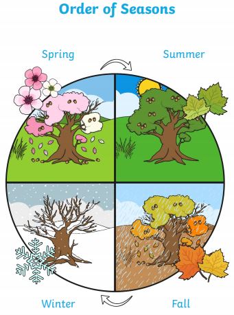 Winter, Spring, Summer or Fall/Autumn Seasons - Wiki