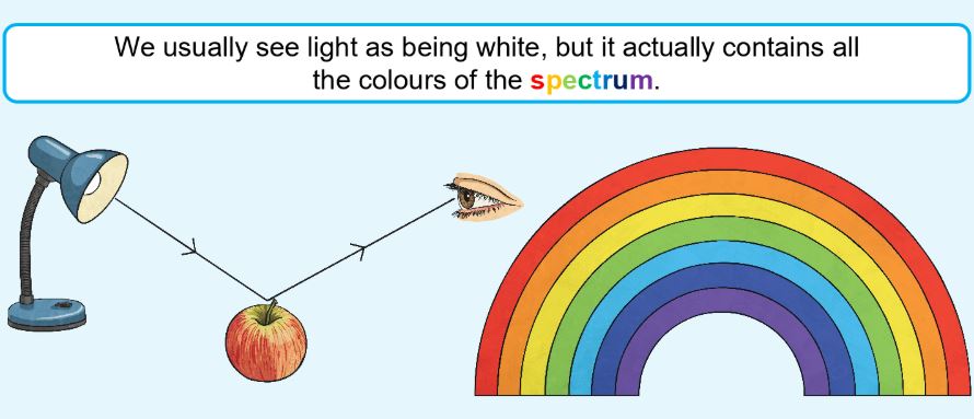 Light | How Fast Light Travels | Science Wiki - Twinkl