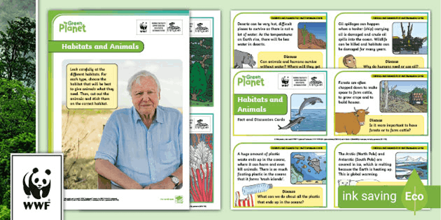 Printable and Digital Teacher Resources | Twinkl USA