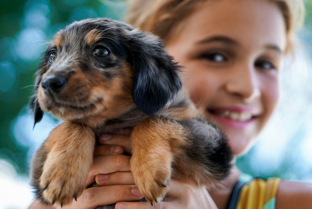 What is a Pet? Animal-Friendly Teaching Wiki by Twinkl USA