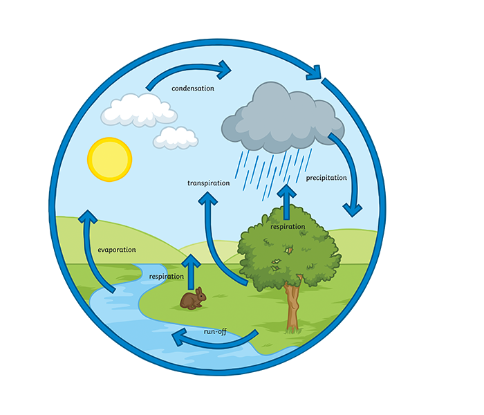 Runoff Cycle In Hindi Meaning