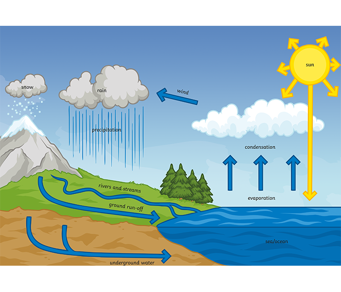 FREE! - Water Cycle Colouring Page | Colouring Sheets
