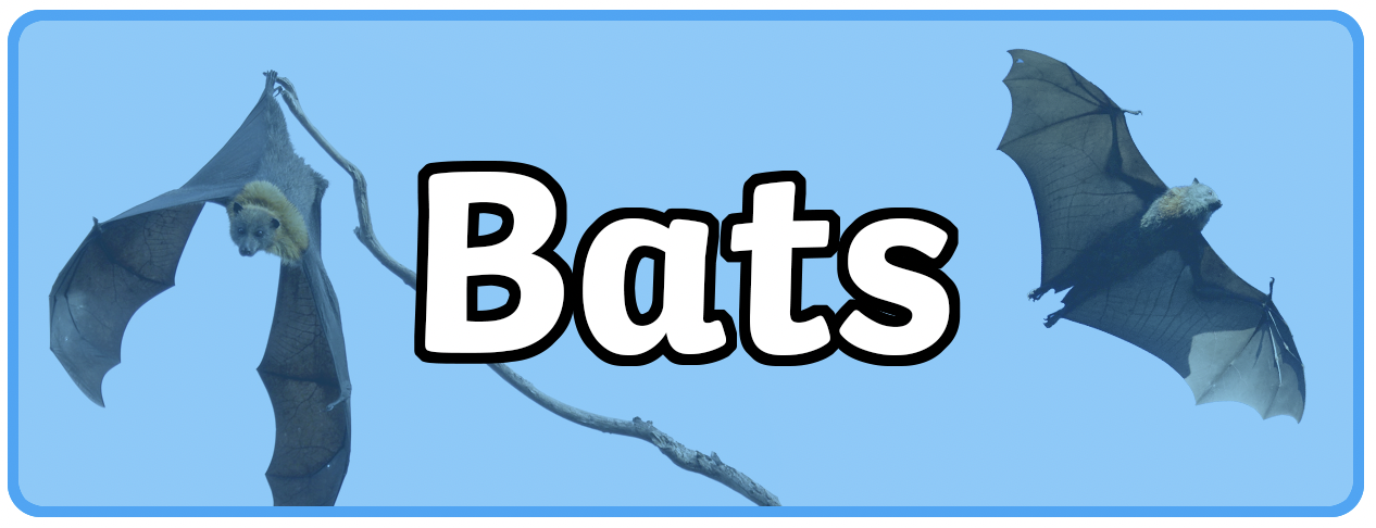 Surviving with a Bat no Steam