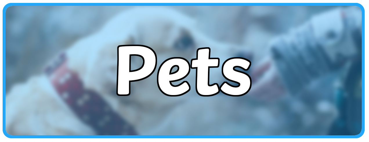 What is a Pet? Animal-Friendly Teaching Wiki by Twinkl USA