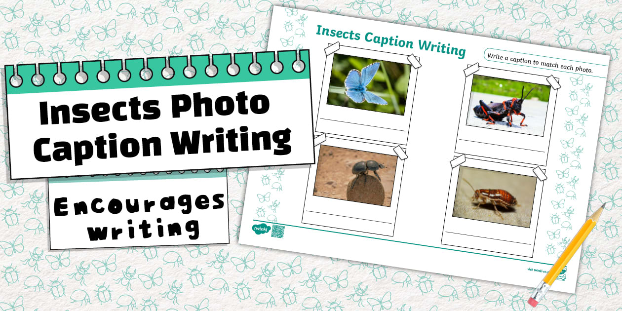 Life Skills - Insects - Photo Caption Writing Template