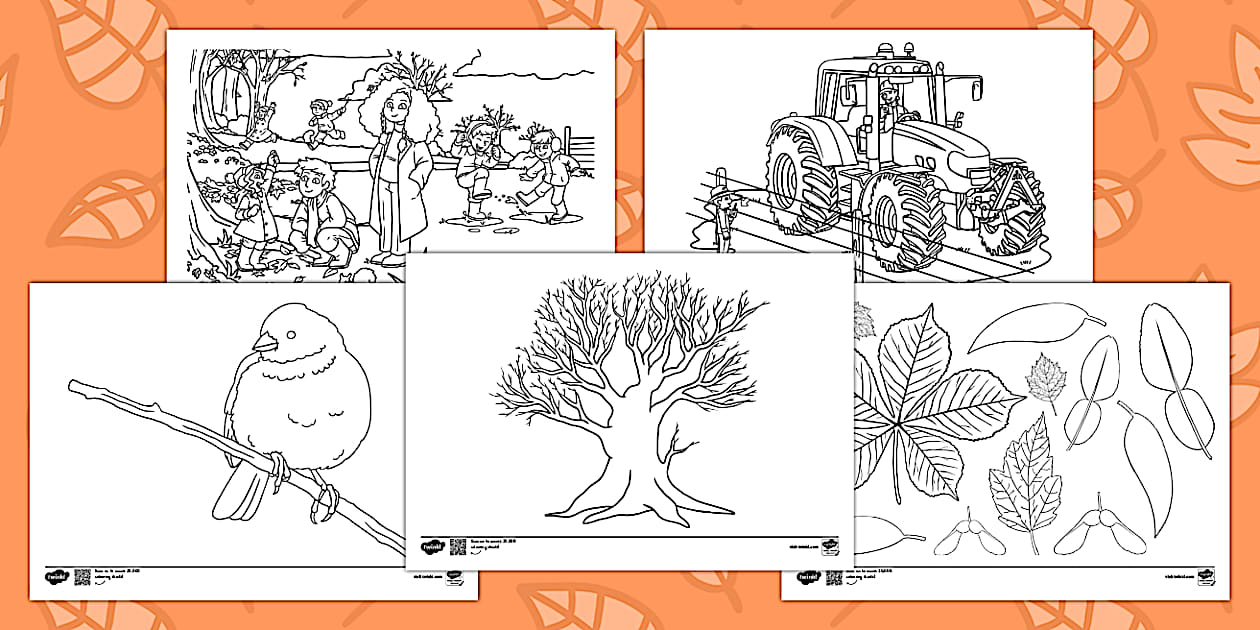 Autumn Colouring Sheets | Primary Resources (teacher made)