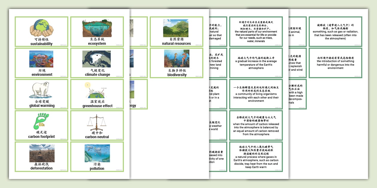 Bilingual Sustainability Words Cards (teacher made) Twinkl