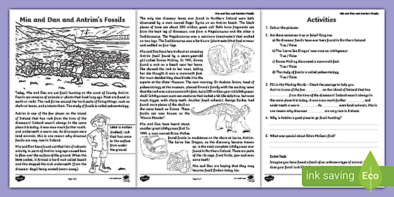 Mia and Dan and Antrim's Fossils Worksheets - Twinkl