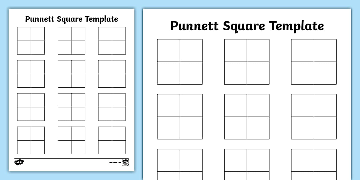 Blank Punnett Square Template (Teacher Made) Twinkl
