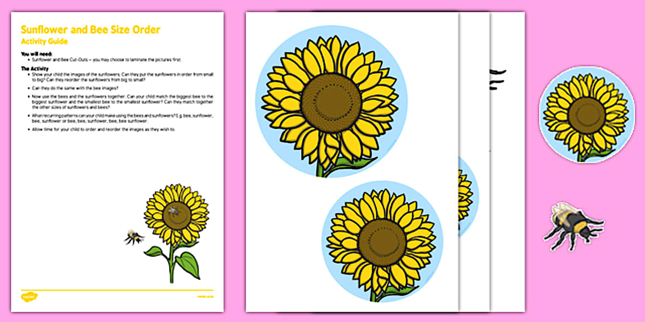 Sunflower and Bee Size Order Busy Bag Resource Pack for Parents