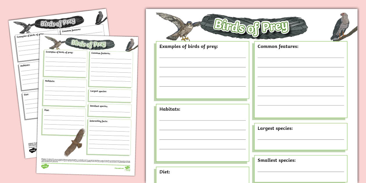 Birds of Prey Fact File Template