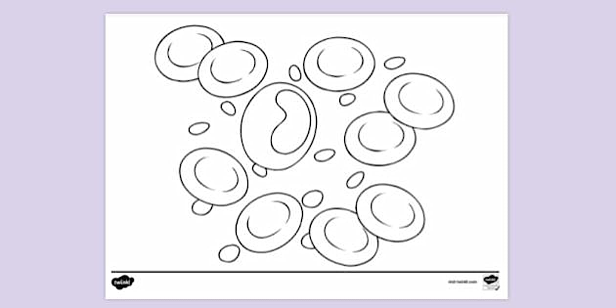 Basic Colouring Cell Body Cell Colouring Sheet | Colouring Sheets (teacher made)