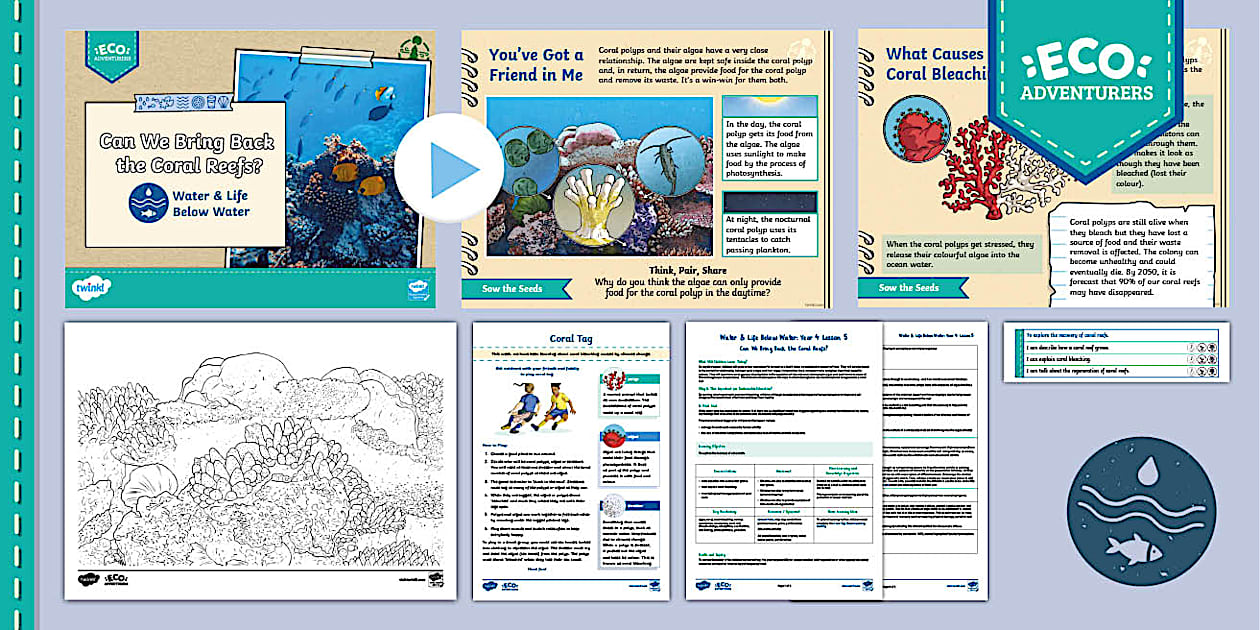 Y4 Water: Lesson 5 - Can We Bring Back the Coral Reefs?