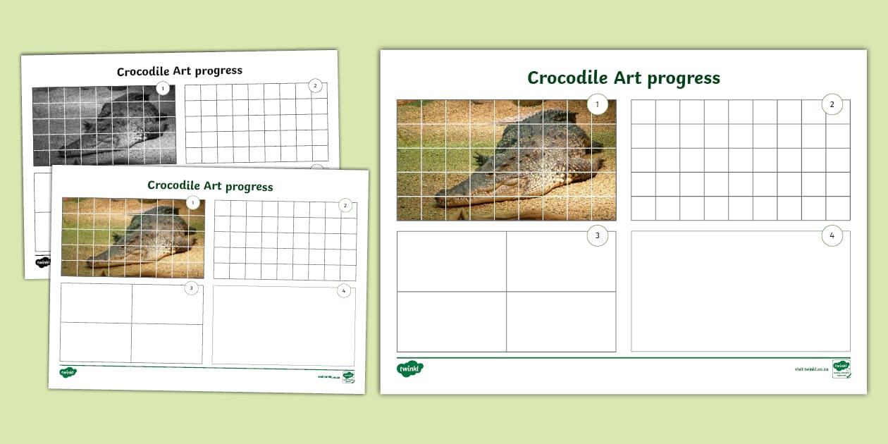 Crocodile Art Progress Template (teacher made) - Twinkl
