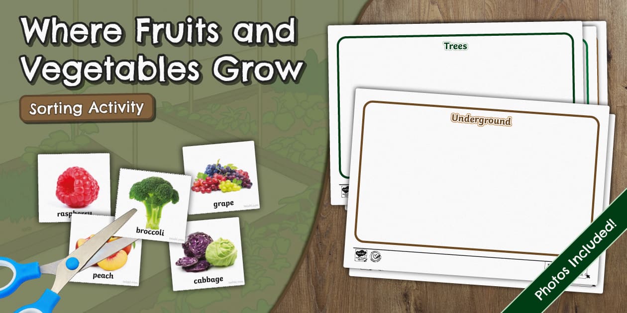 Where Fruits and Vegetables Grow Sorting Activity