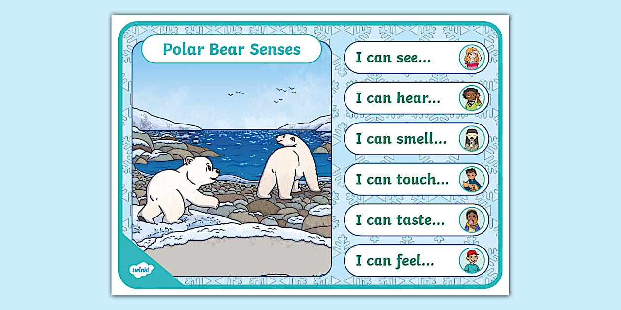 Polar Bear Senses Display Poster (TeacherMade) Twinkl