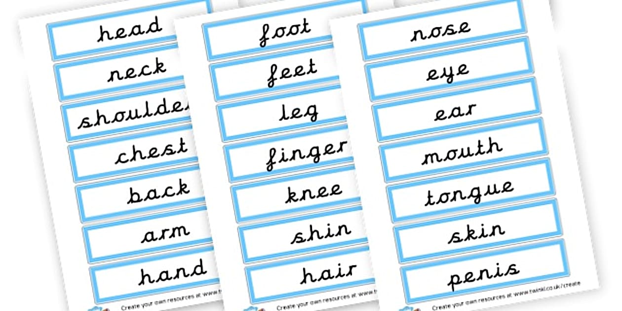 Body Parts Word Cards