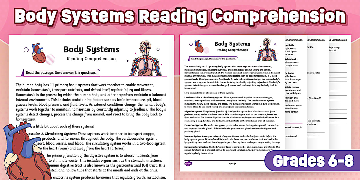 Body Systems Reading Comprehension Worksheet for 6th-8th