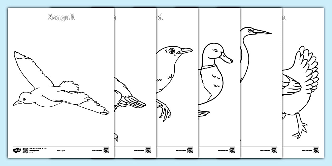 British Birds Colouring Sheets - Primary Resources - Twinkl