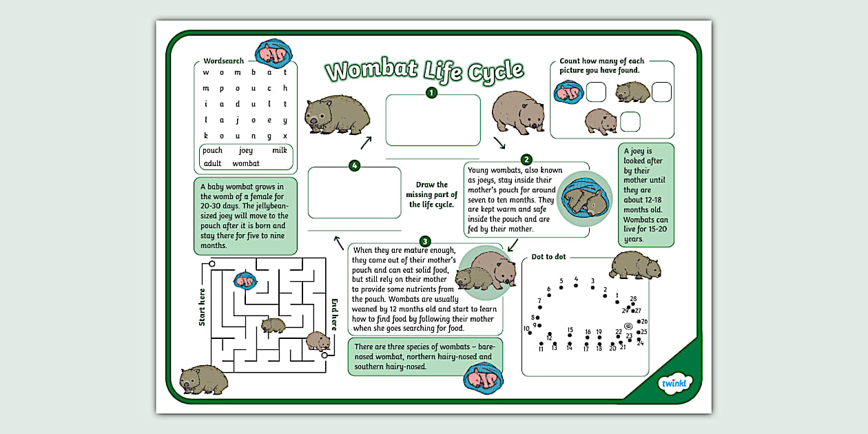 Wombat Activity Mat (Hecho por educadores) - Twinkl
