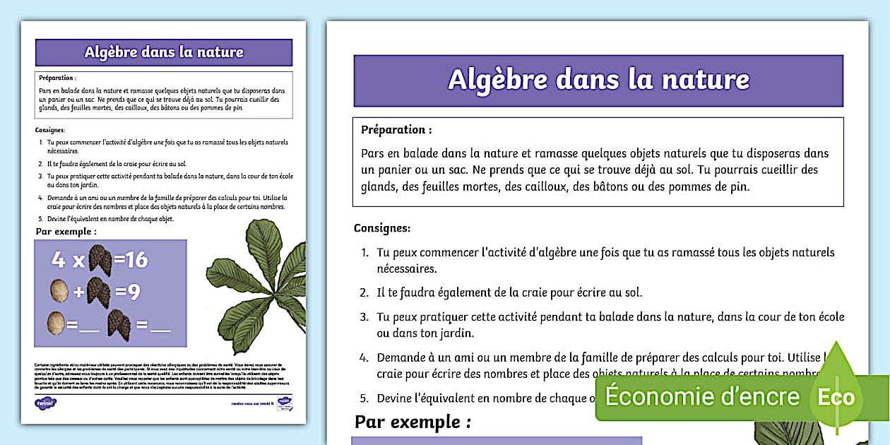 Algèbre dans la nature (teacher made) - Twinkl
