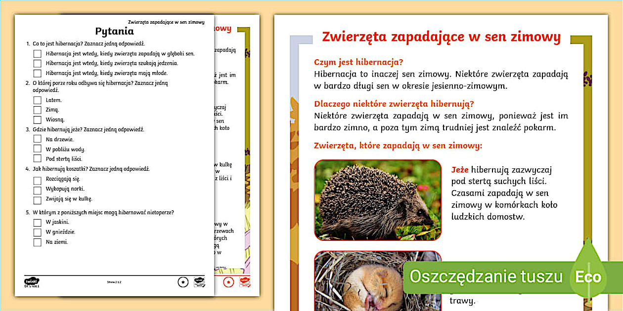 Zwierzęta i sen zimowy | Czytanie ze zrozumieniem - Twinkl