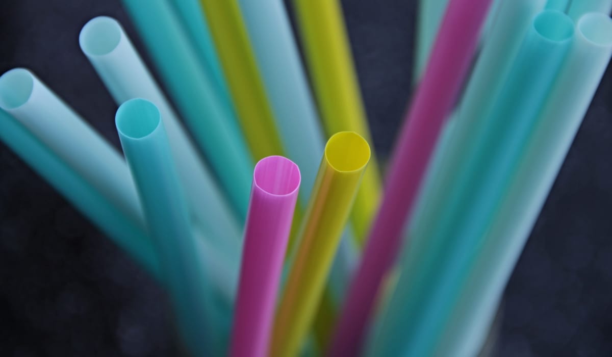 Plastic Ban Twinkl NewsRoom Twinkl