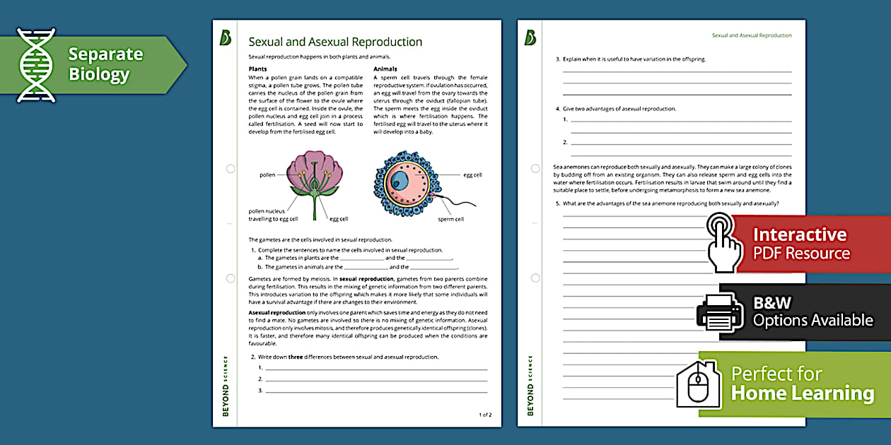 Reproduction Assignment Sexual and Asexual Reproduction | GCSE Biology | Beyond