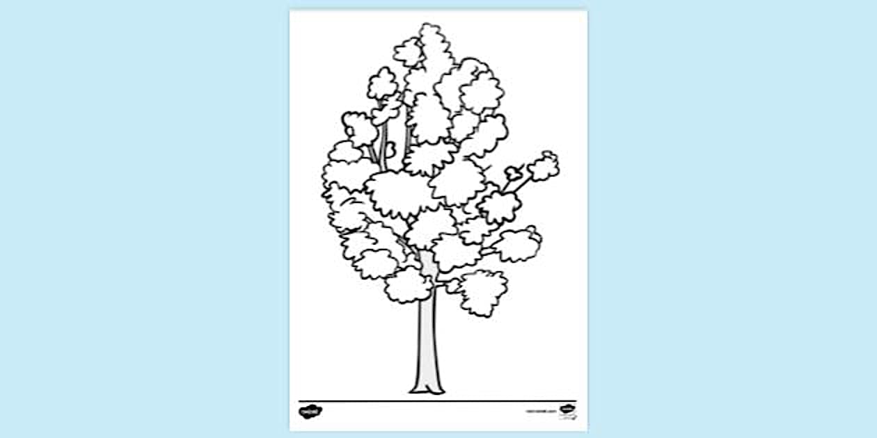 Coluring In Tree Colouring Book Page: Trees | Colouring Sheets