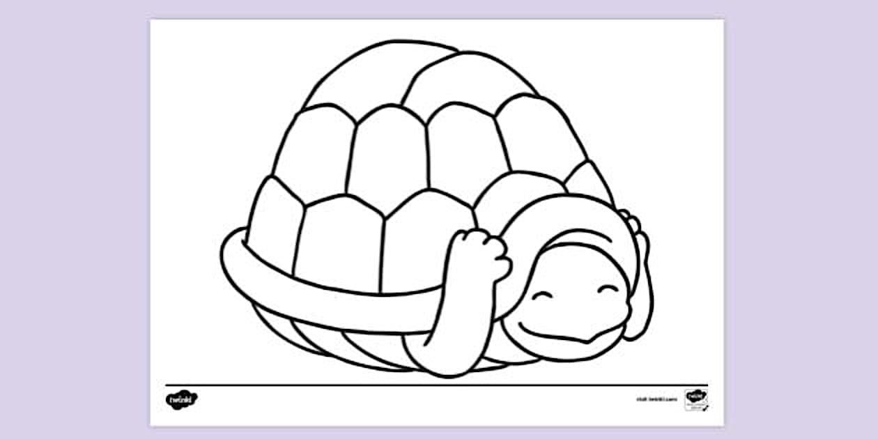 Tortoise Inside Shell Covering Head | Colouring Sheets