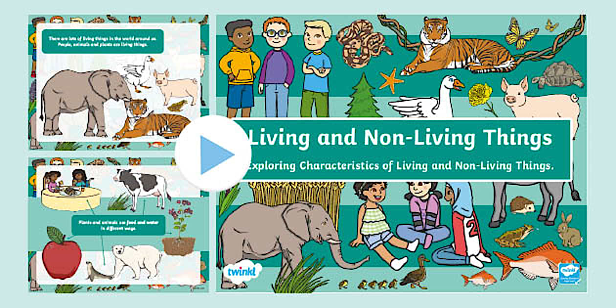 Living and Non-Living Things PowerPoint | Examples