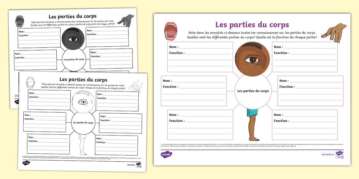 Carte mentale: Les parties du corps - Twinkl