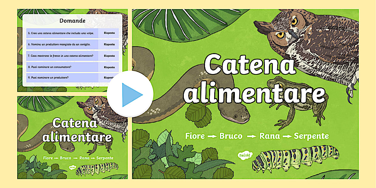 La catena alimentare (teacher made) - Twinkl