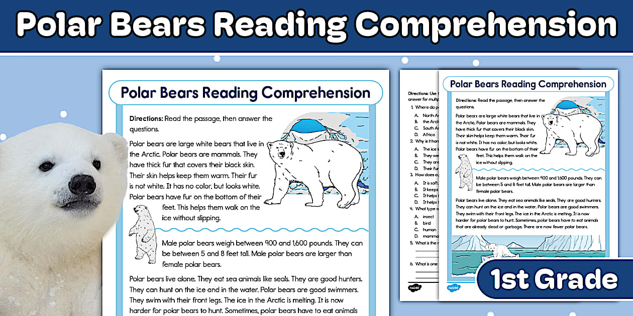 First Grade Polar Bears Reading Comprehension Worksheet
