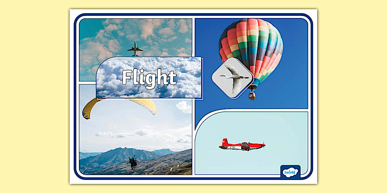 Flight Photo Display Poster (teacher made) - Twinkl