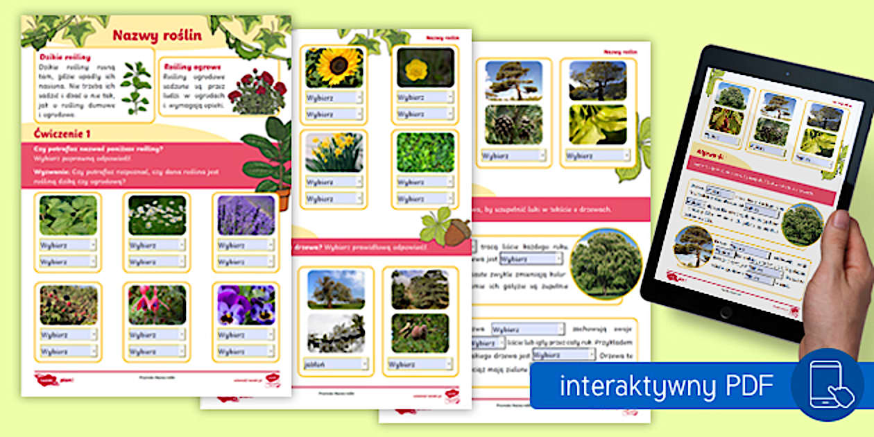 Nazwy roślin | Karta pracy | Interaktywny PDF - Twinkl