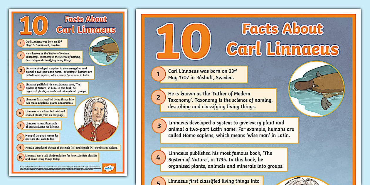 10 Facts About Carl Linnaeus Display Poster Twinkl