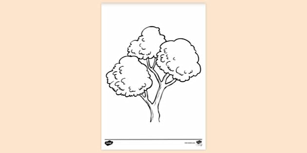 Free Tree Colouring Page l Colouring Sheets (Teacher-Made)