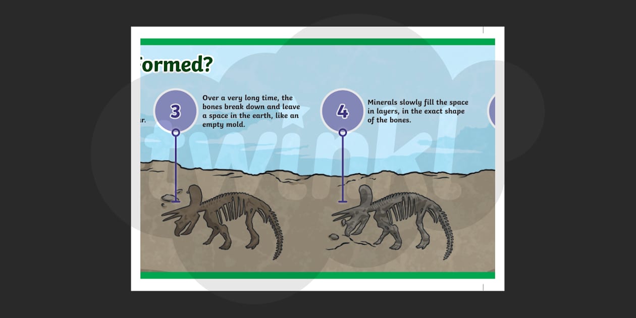 cast fossils for kids