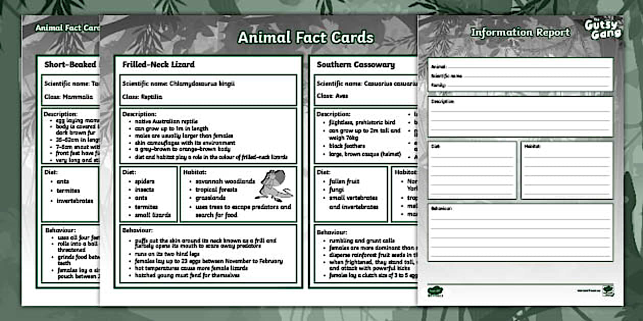 The Gutsy Gang: Bk 1 Animal Fact Card and Information Report