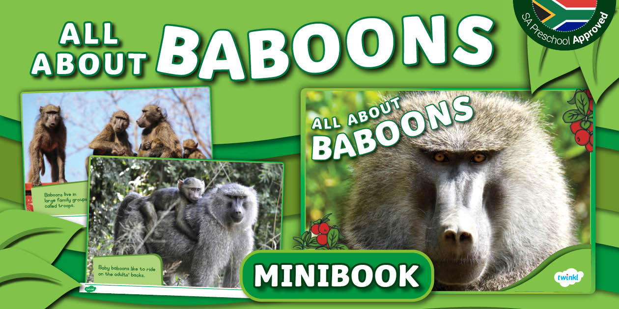 Preschool - African Animals - Mini Book - Baboon Facts