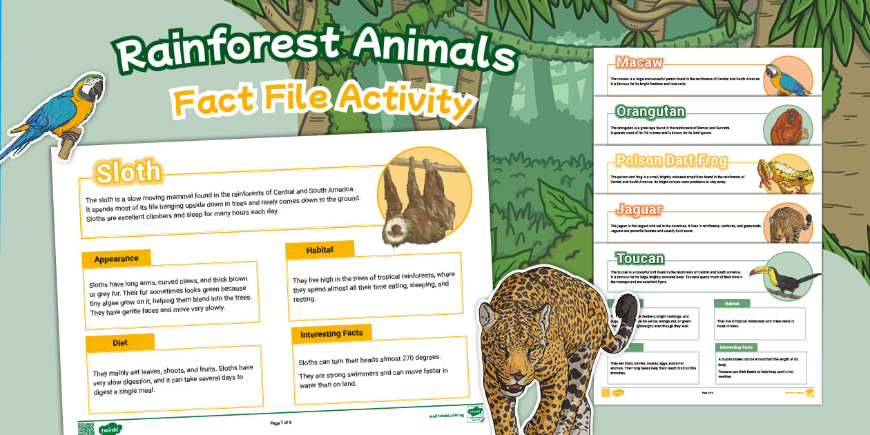 Rainforest Animals Fact File Activity | Research and Writing Resource
